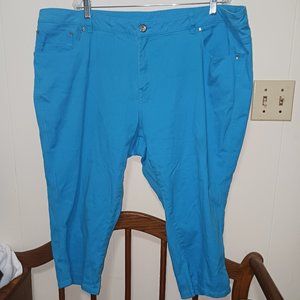 Sz 26w ( runs small like 22 or 24) cropped jeans with lots of bling